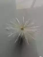 Beautiful trash