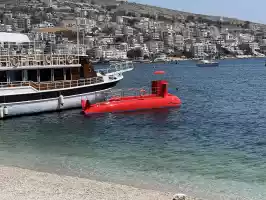 Happy little red submarine