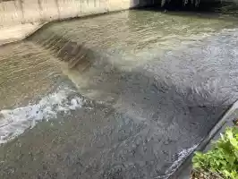 Not many clean rivers left in Europe