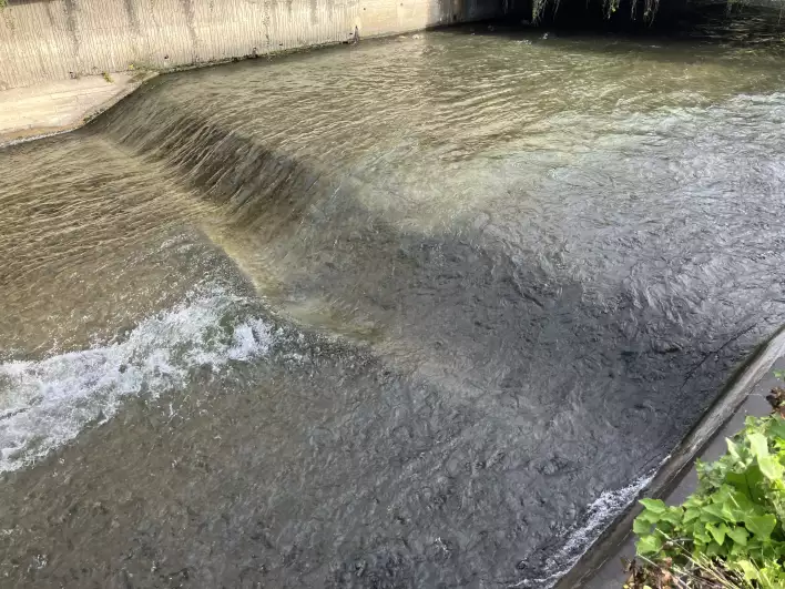 Not many clean rivers left in Europe