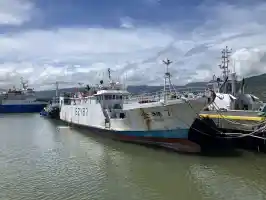 Jin Xiang 7 BZYB7 Jin Xiang 7 BZYB7