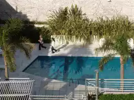 Neighbours around the pool