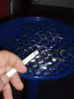 An ease in the middle of the bullshit