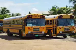 Cheap chicken buses