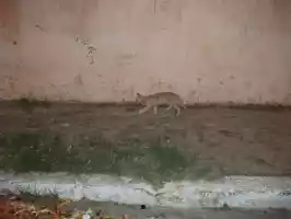 Uma Churrascar¡a