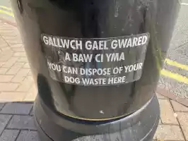 Learn some Welsh