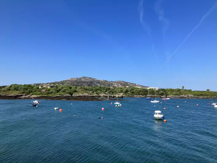No whales in Wales