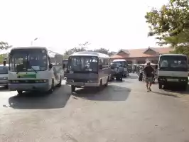 Buses, tuk-tuks, taxis, bicycles all on the way to Angkor