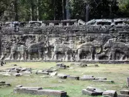Elephant terrace