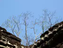 Lovely blue sky