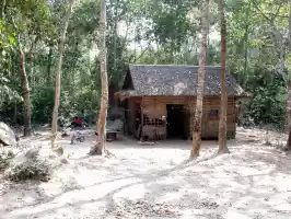 Many locals live in the area in small shacks in the jungle