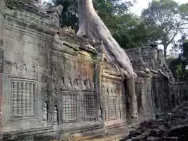 Wall carvings in Preah Khan