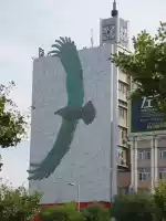 A great eagle of China