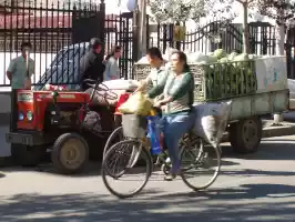 Watermelon tractor