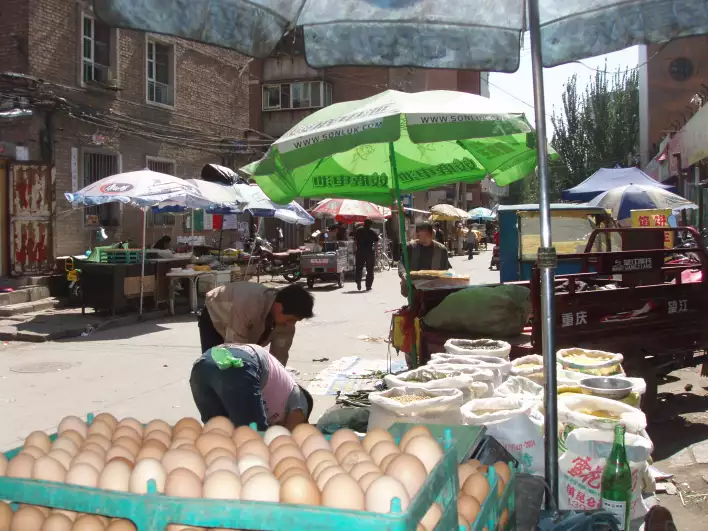 Food market in the eyes of a vendor