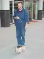 Santeri taking Huang Huang out