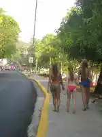 International asses
