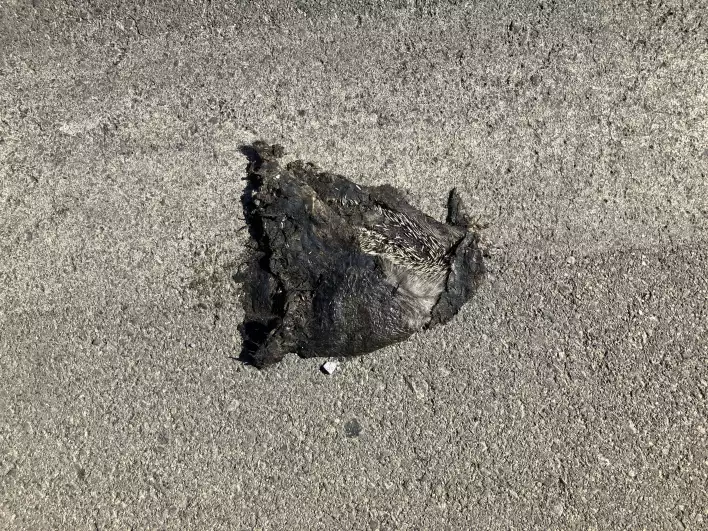 Another accident?