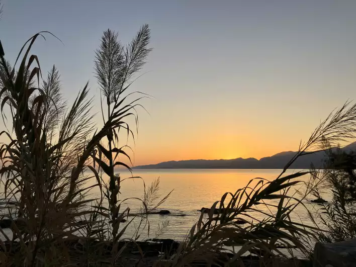 Sunrise