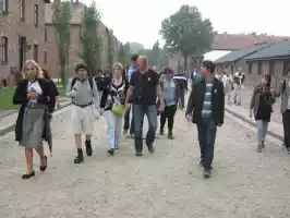 Here they come, run for your life!!!