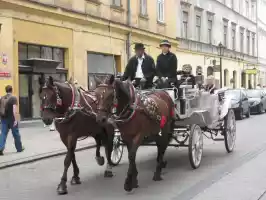 Horse and carriage
