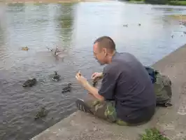 Sharing lunch with ducks