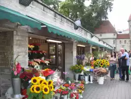 Flowers for sale