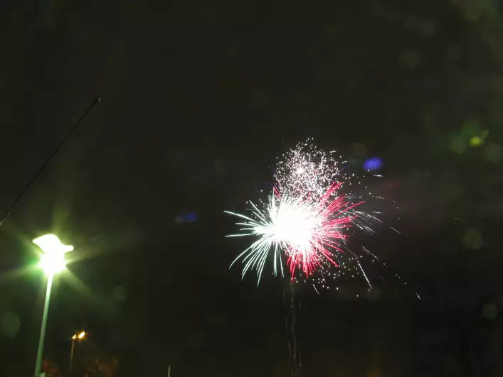 Fireworks by Toni
