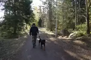 Walking with dog in Hyvinkää
