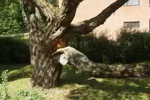 Broken