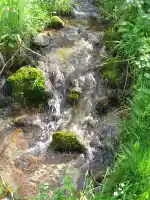 A fresh and clear water stream A fresh and clear water stream