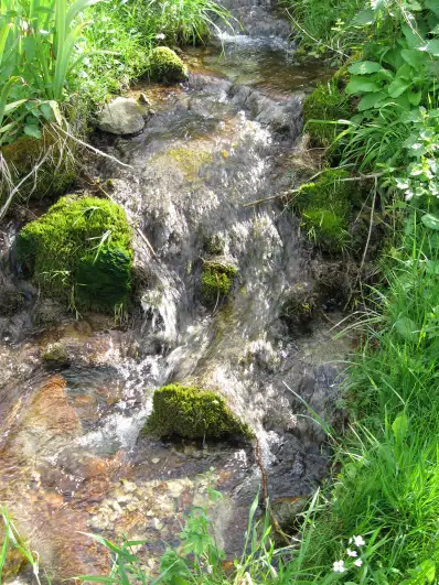 A fresh and clear water stream