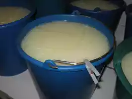 Cheese with enzymes in the first step of the process