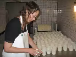 Päivi is turning cheese