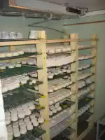 Cheese is ready for eating