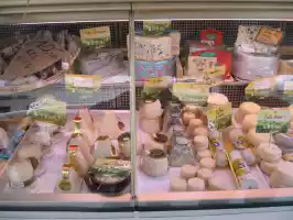 Selection