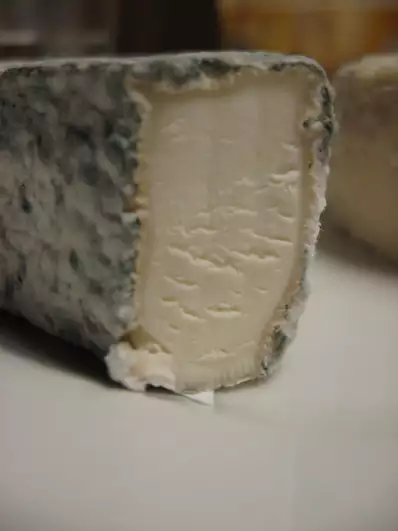 Cheese from Richard Weimanns fromagerie close-up