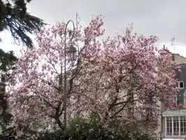 It was spring in Hong Kong, and it came to France with us
