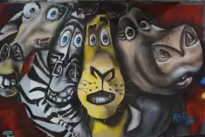 Animals