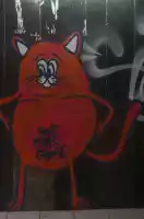 Cats crew