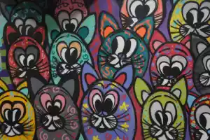 Cats