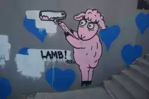 Lamb at work