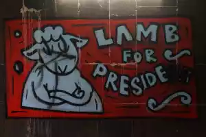 Lamb for president