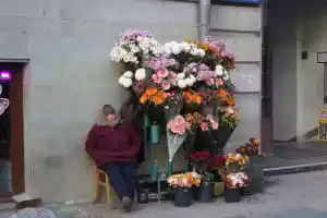 Flowers for sale