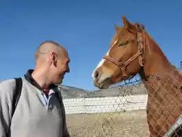 Santeri and Mrs. Yahoo