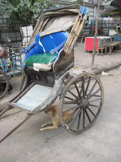 A man-drawn carriage for rich people to show off in Kolkata