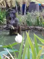 Fisherman