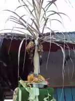 More food for hindu gods
