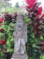 Old man and the bush
