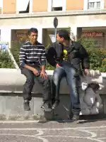 A gang searching for some prey